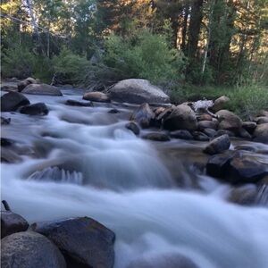 These are a few of my favorite things! Posh Shared Show.